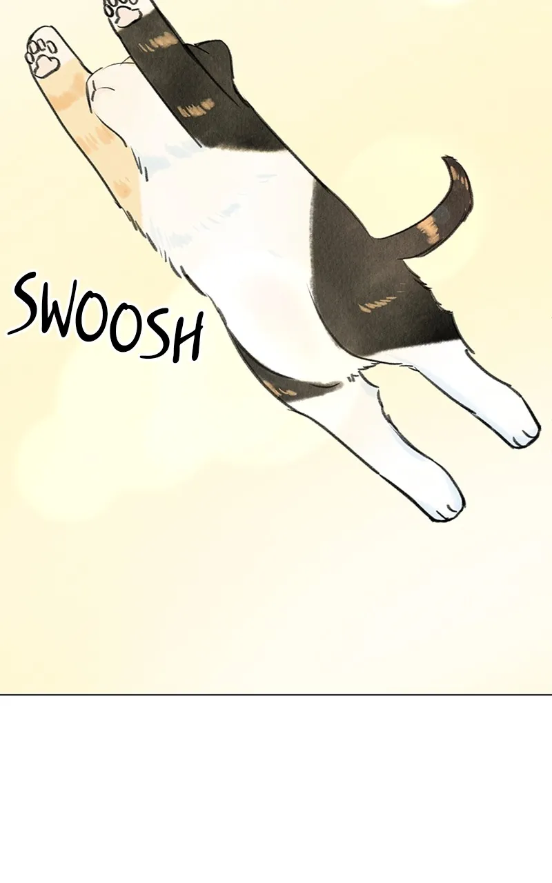 Want to See My Cat? Chapter 9 page 17 - 