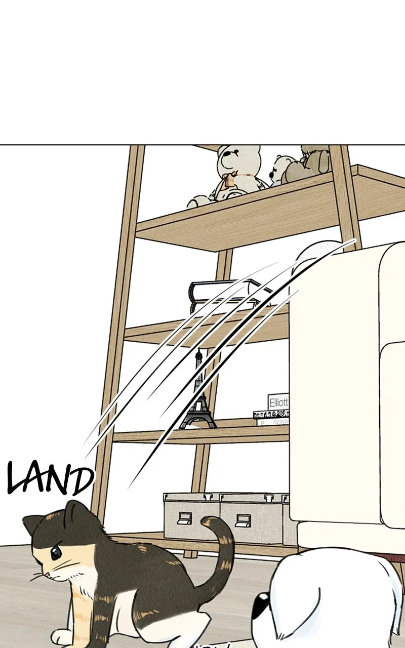 Want to See My Cat? Chapter 9 page 18 - 