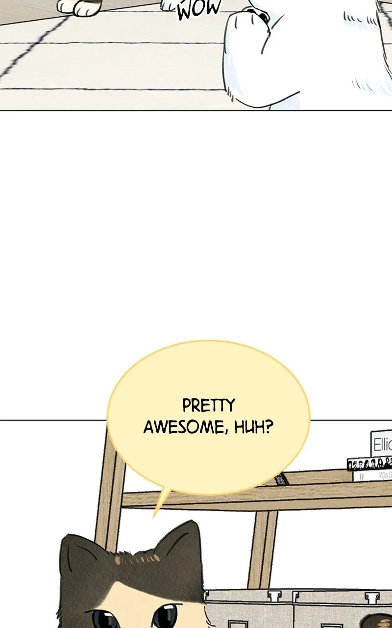 Want to See My Cat? Chapter 9 page 19 - 