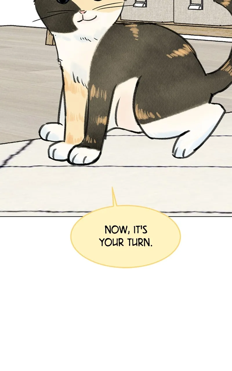 Want to See My Cat? Chapter 9 page 20 - 
