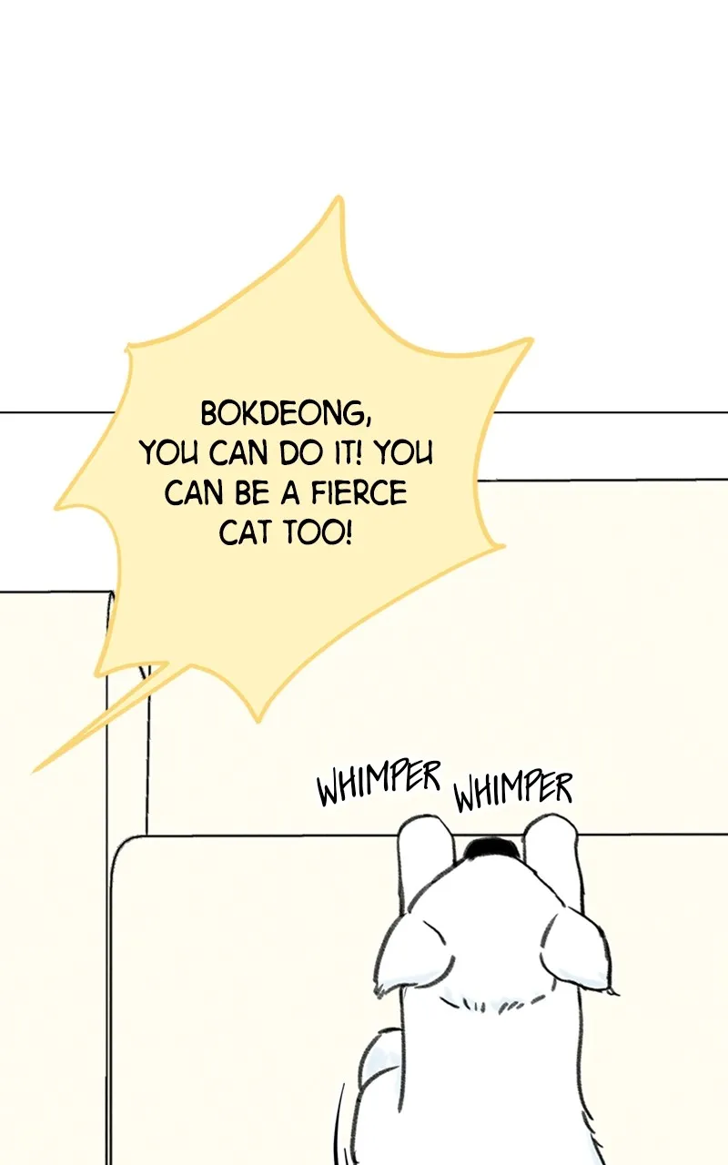 Want to See My Cat? Chapter 9 page 22 - 