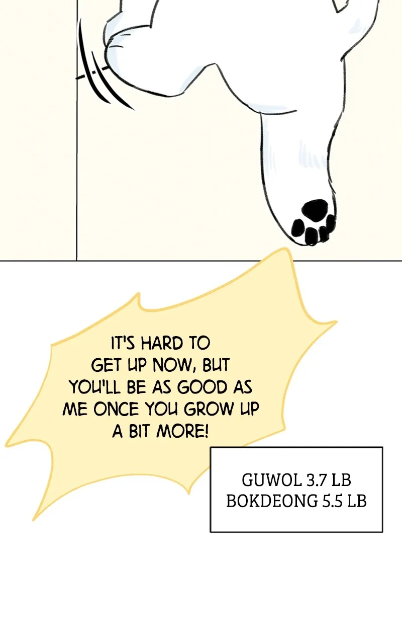 Want to See My Cat? Chapter 9 page 24 - 