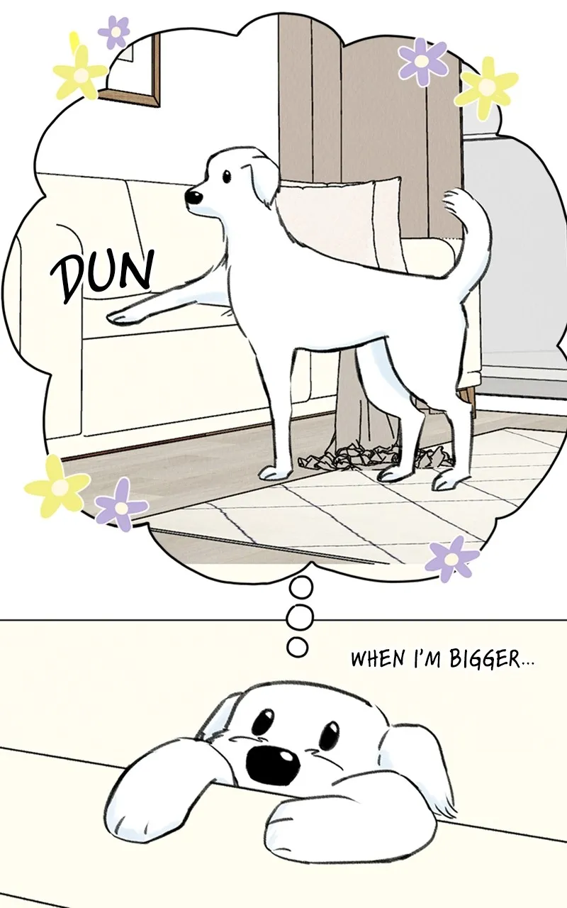 Want to See My Cat? Chapter 9 page 25 - 