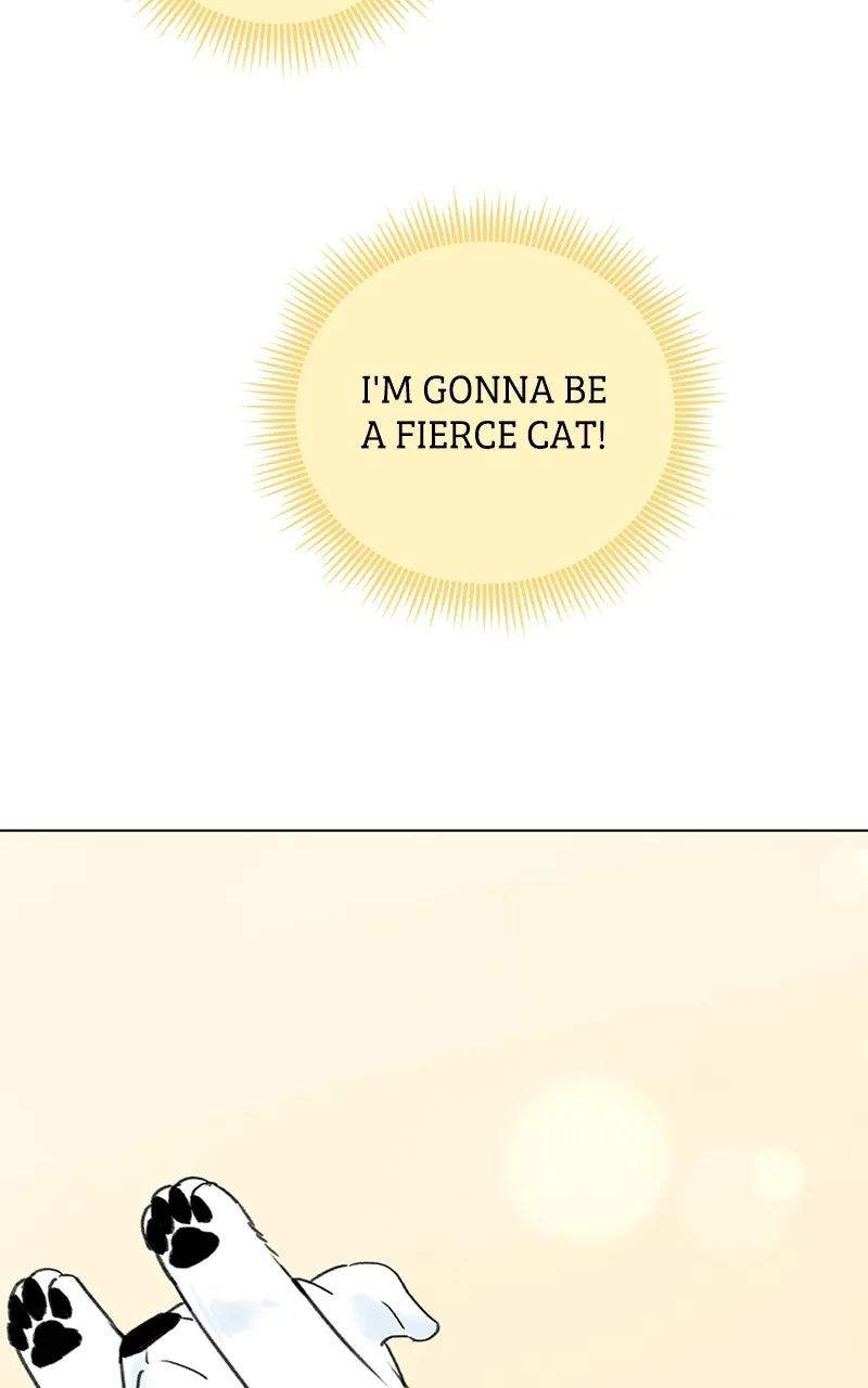 Want to See My Cat? Chapter 9 page 28 - 