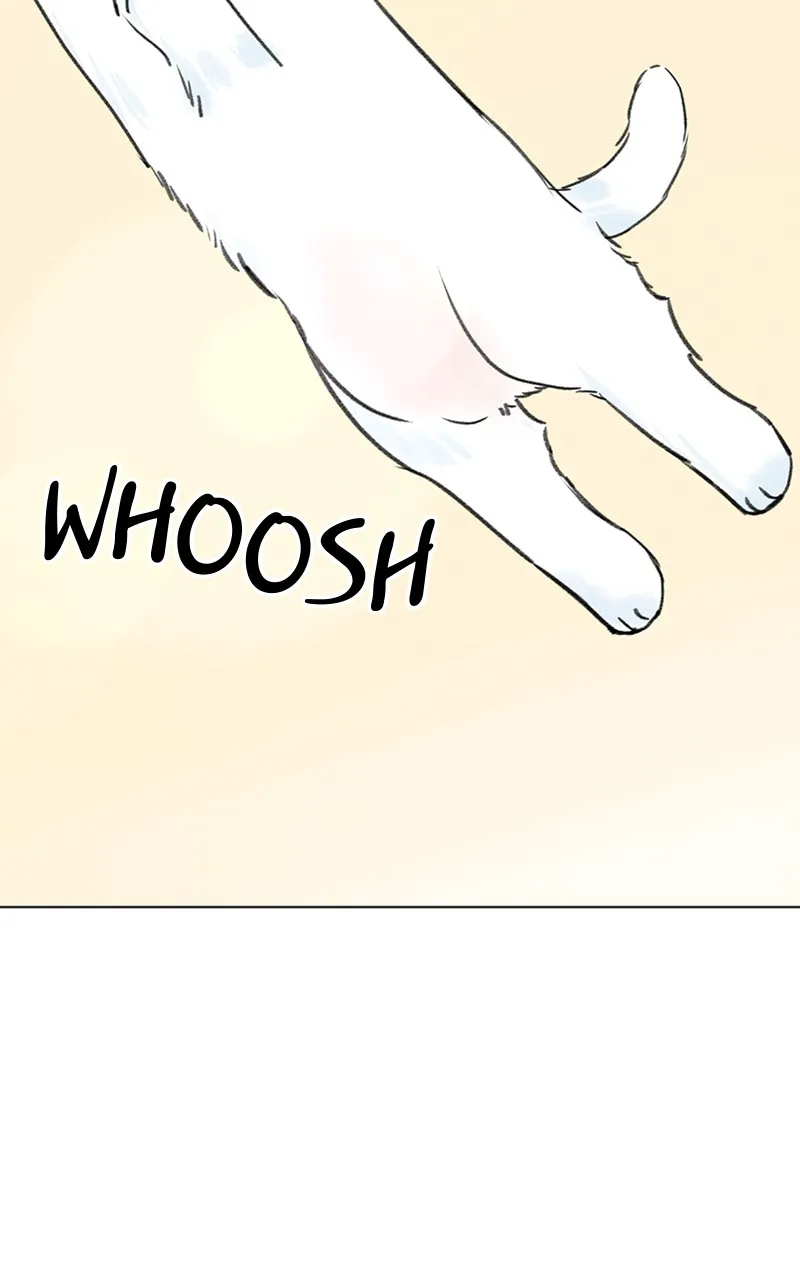Want to See My Cat? Chapter 9 page 29 - 