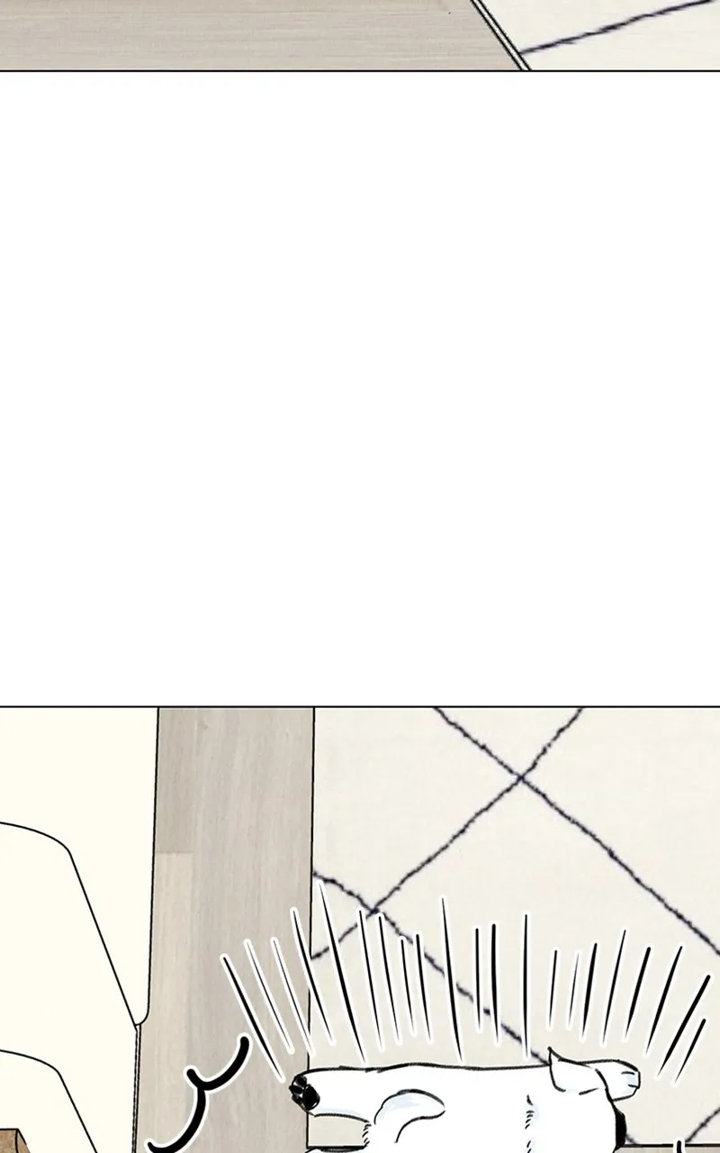 Want to See My Cat? Chapter 9 page 31 - 