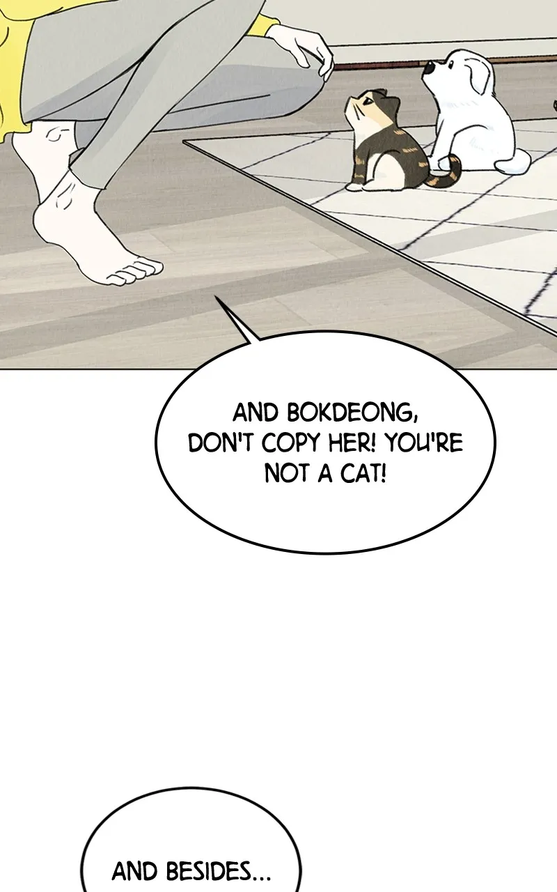 Want to See My Cat? Chapter 9 page 35 - 