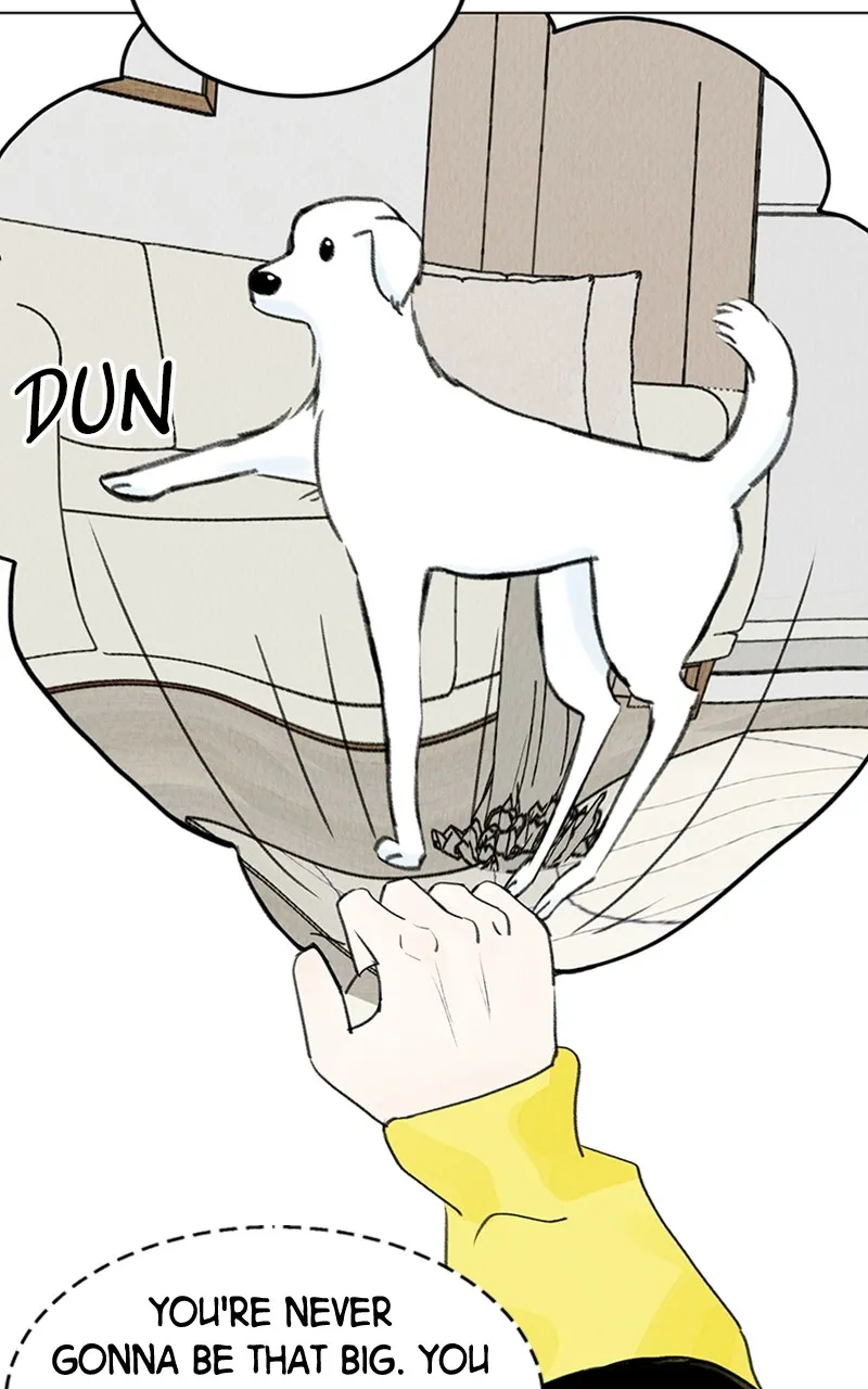 Want to See My Cat? Chapter 9 page 36 - 