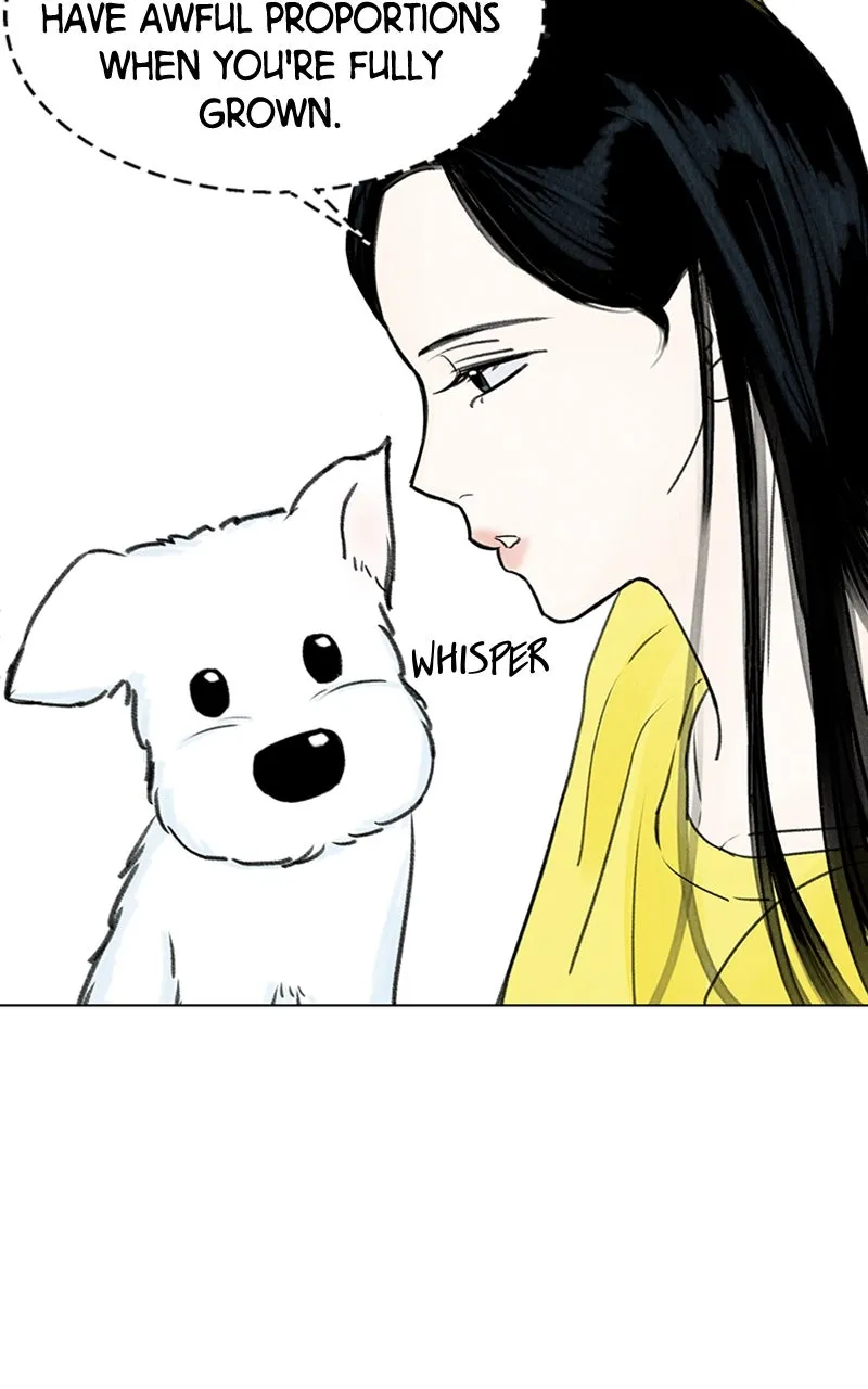 Want to See My Cat? Chapter 9 page 37 - 