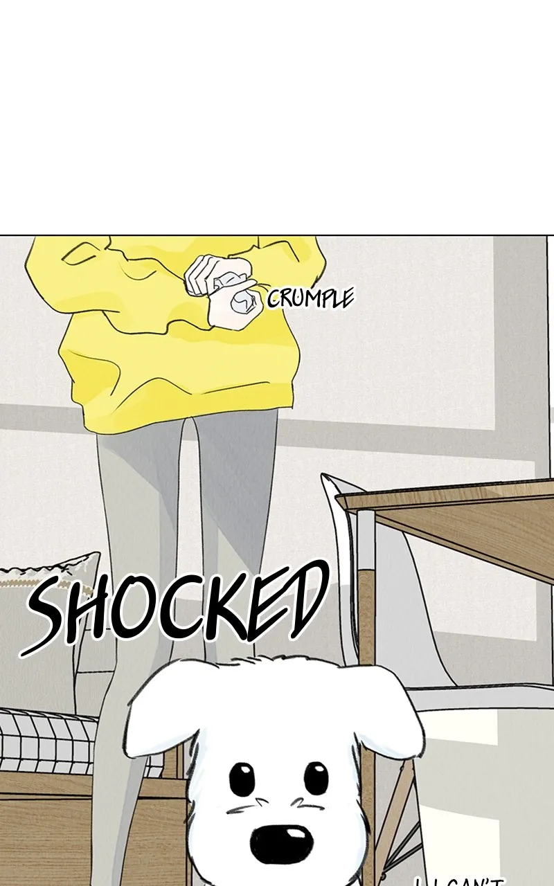 Want to See My Cat? Chapter 9 page 38 - 