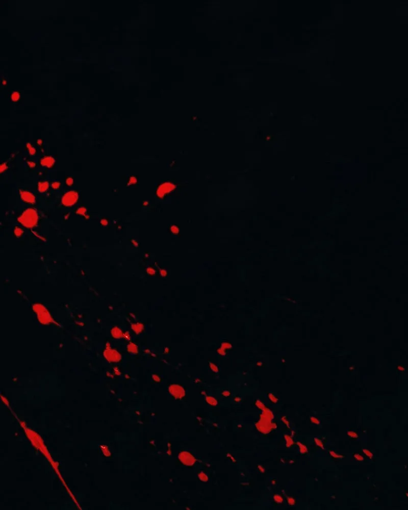 Watermelon Chapter 94 page 12 - 