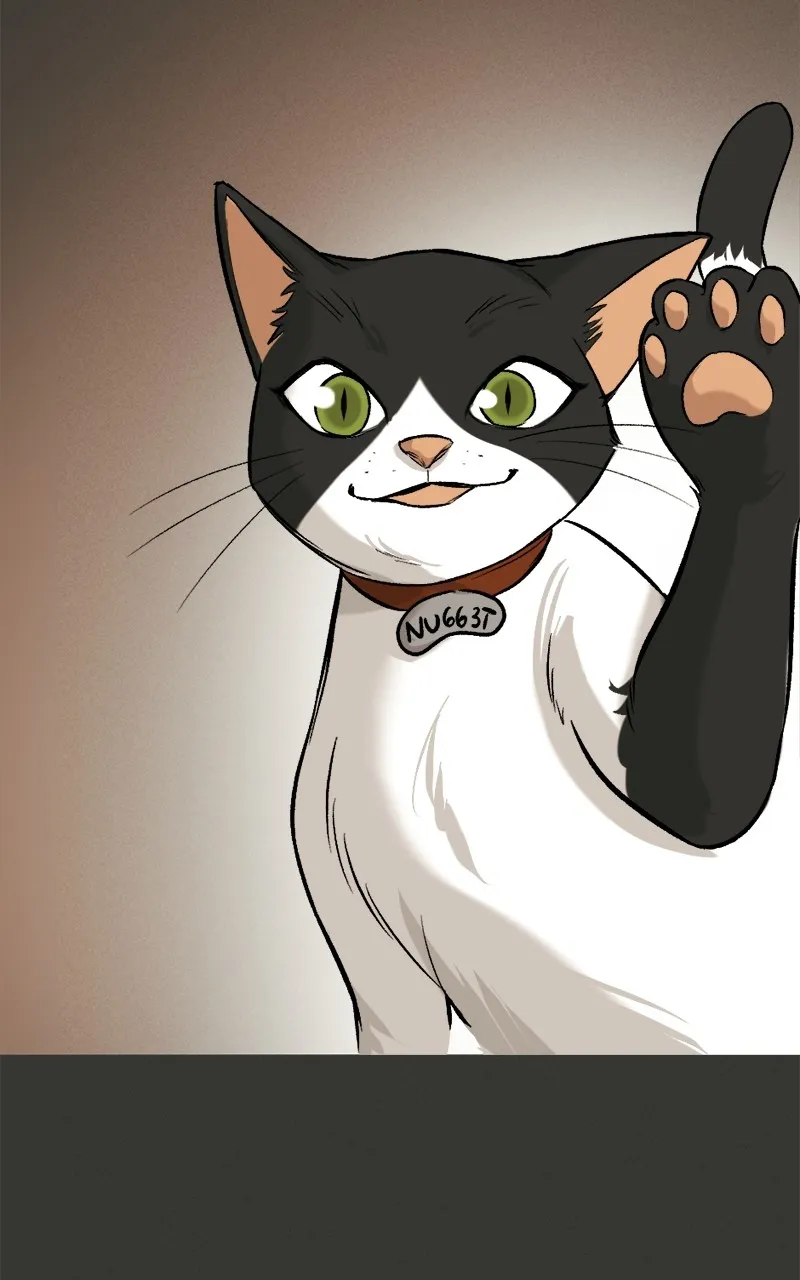 WEBTOON at Midnight Chapter 3 page 12 - 