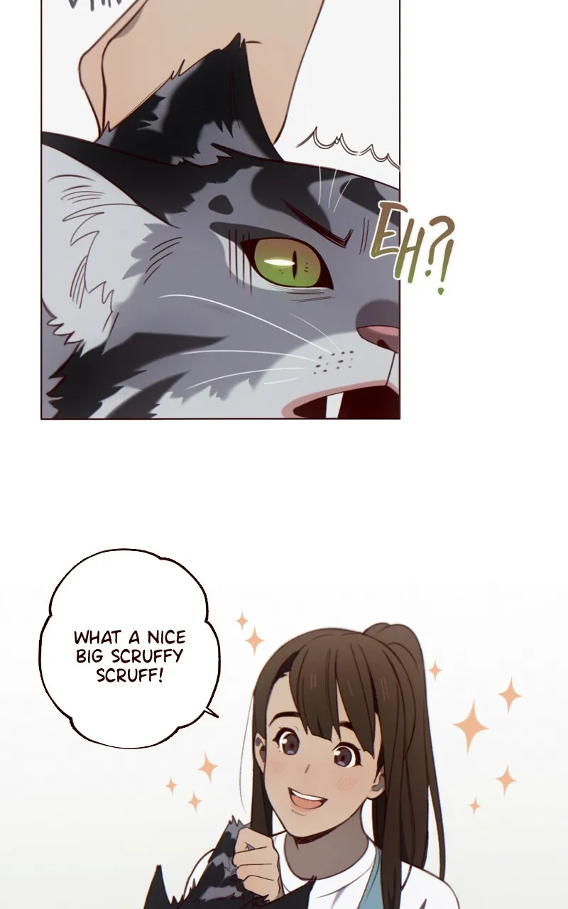 WEBTOON GREENLiGHT Chapter 36 page 63 - 