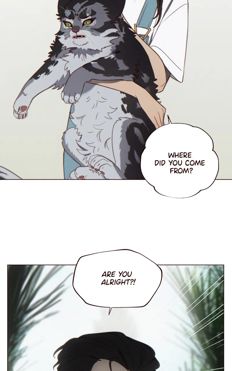 WEBTOON GREENLiGHT Chapter 36 page 64 - 