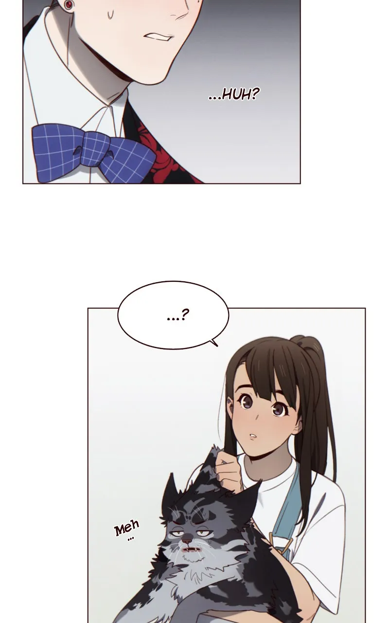 WEBTOON GREENLiGHT Chapter 36 page 66 - 