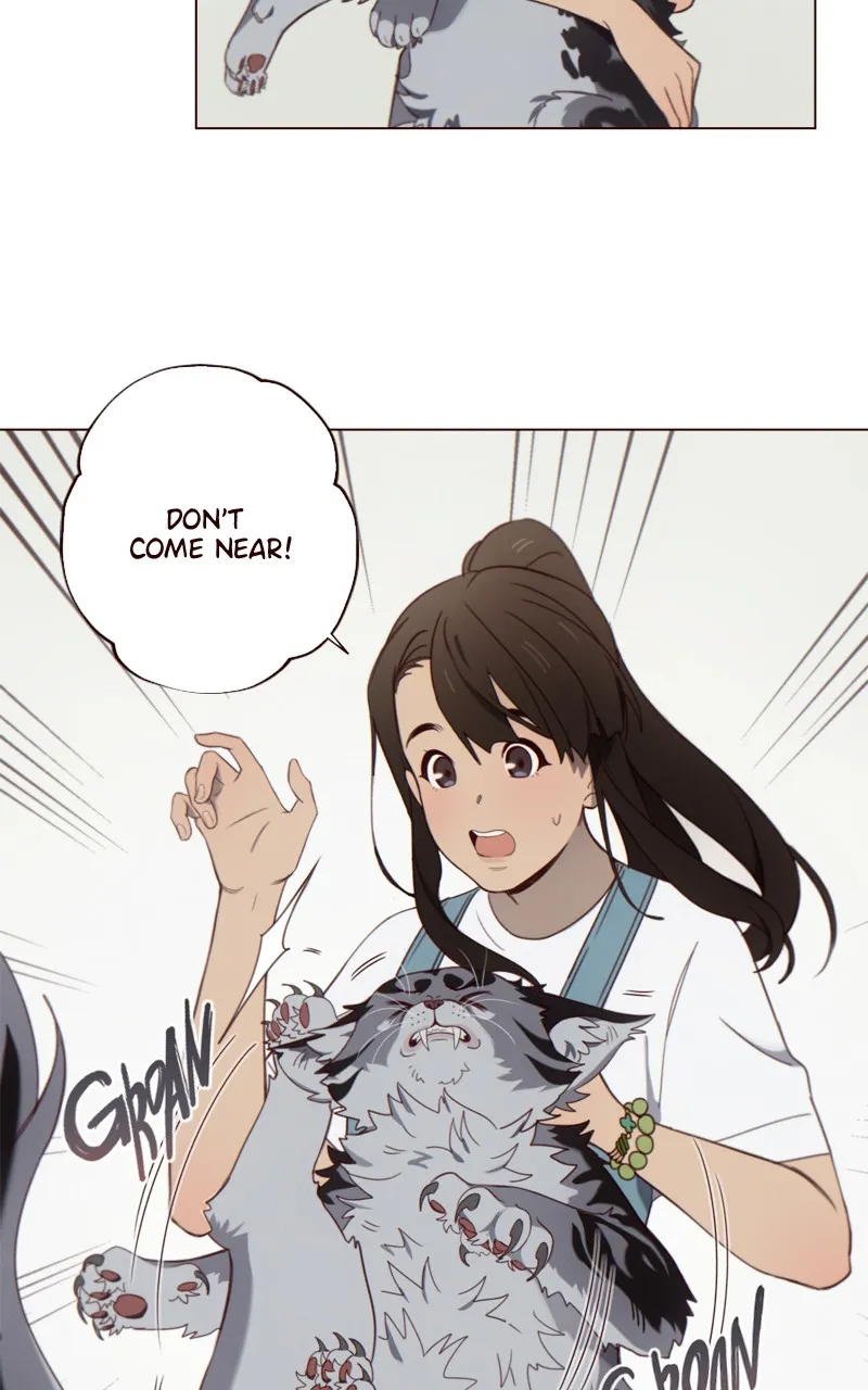 WEBTOON GREENLiGHT Chapter 36 page 67 - 