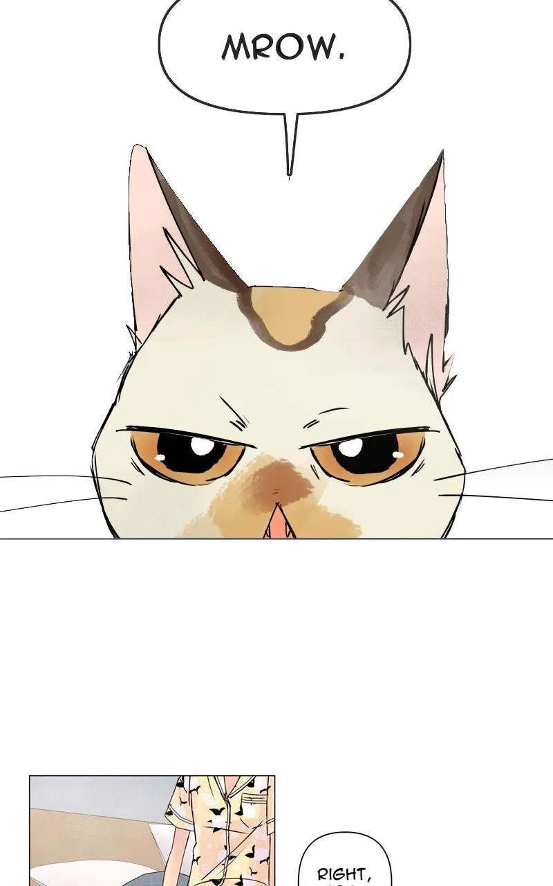 WEBTOON Now Chapter 222 page 29 - 