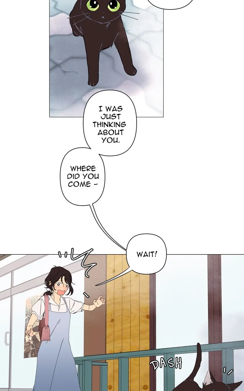 WEBTOON Now Chapter 222 page 37 - 