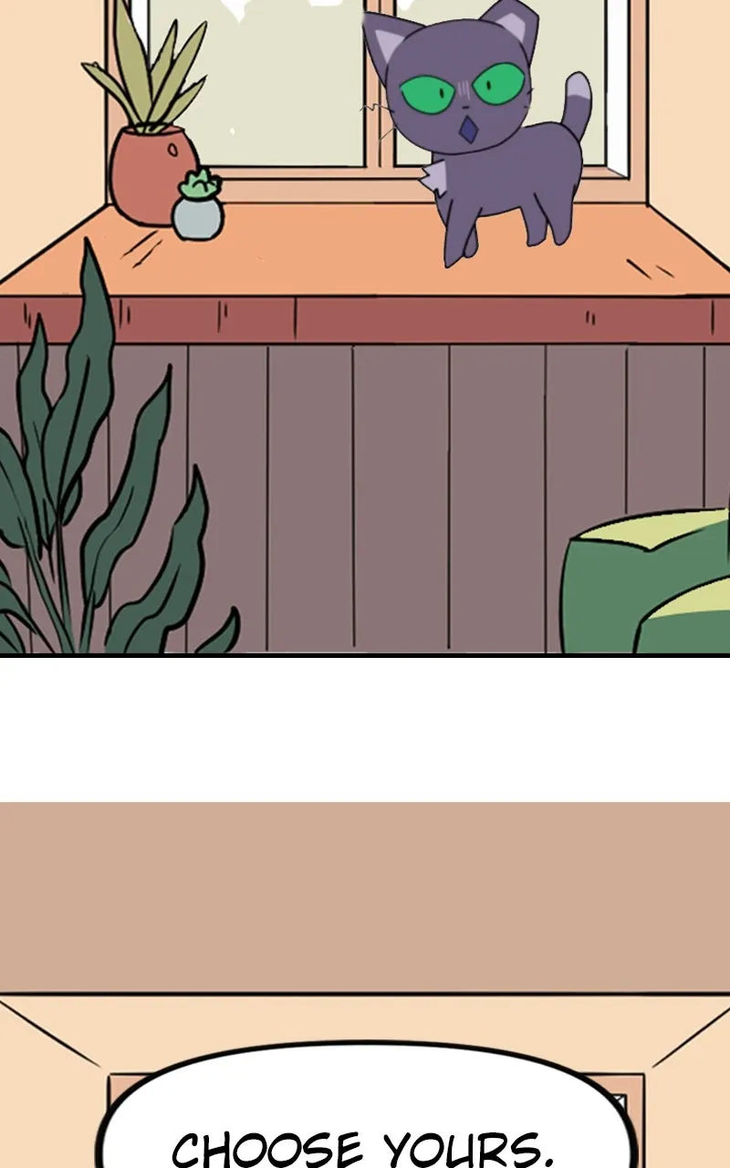 WEBTOON Now Chapter 230 page 2 - 