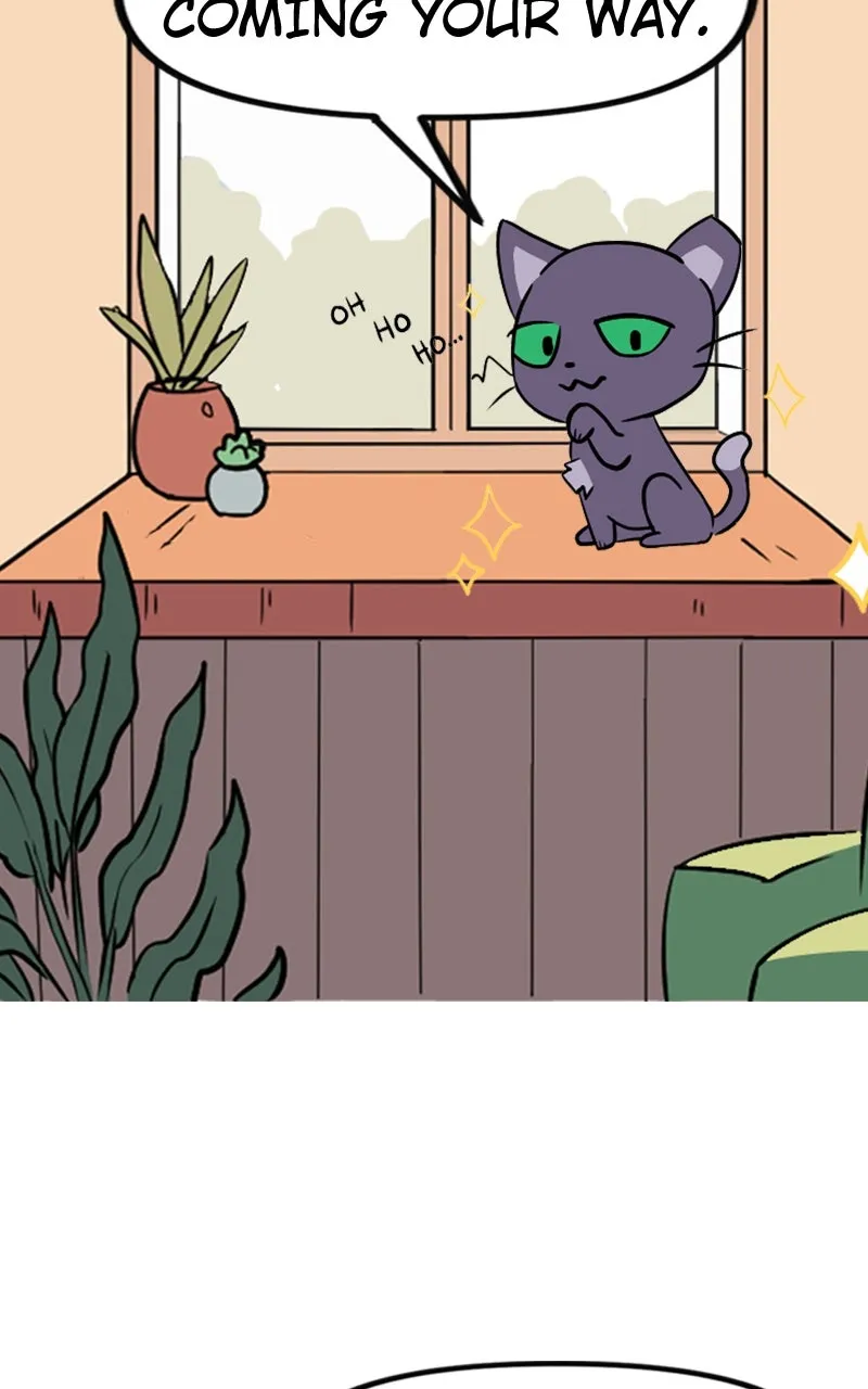 WEBTOON Now Chapter 233 page 3 - 