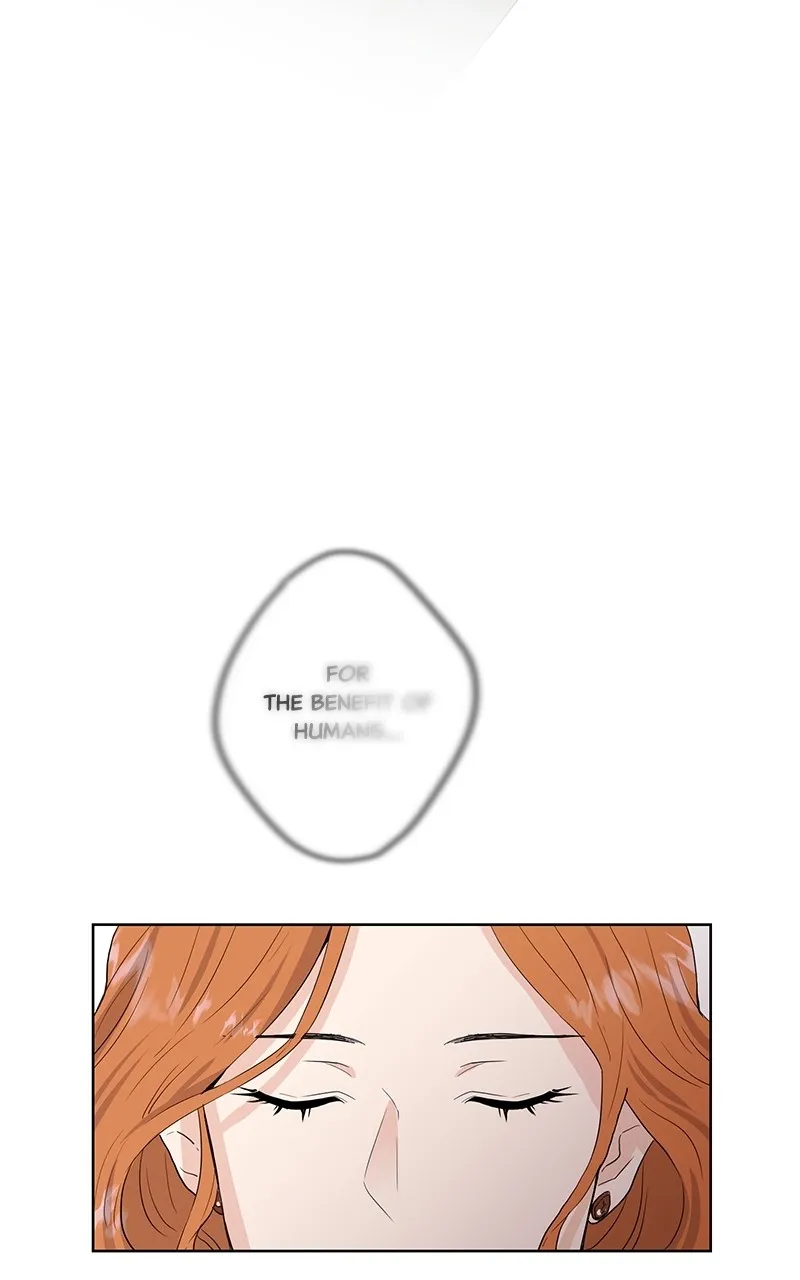 WEBTOON Now Chapter 242 page 44 - 