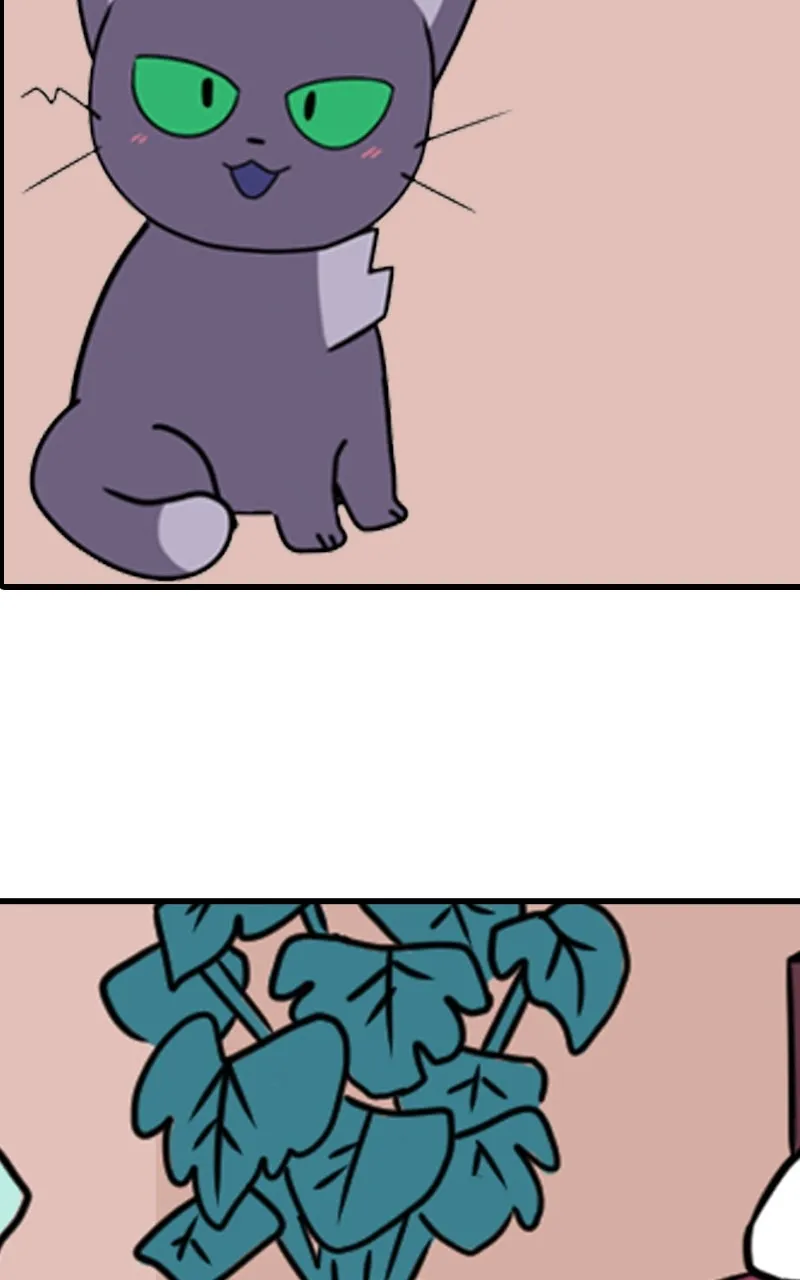 WEBTOON Now Chapter 245 page 3 - 