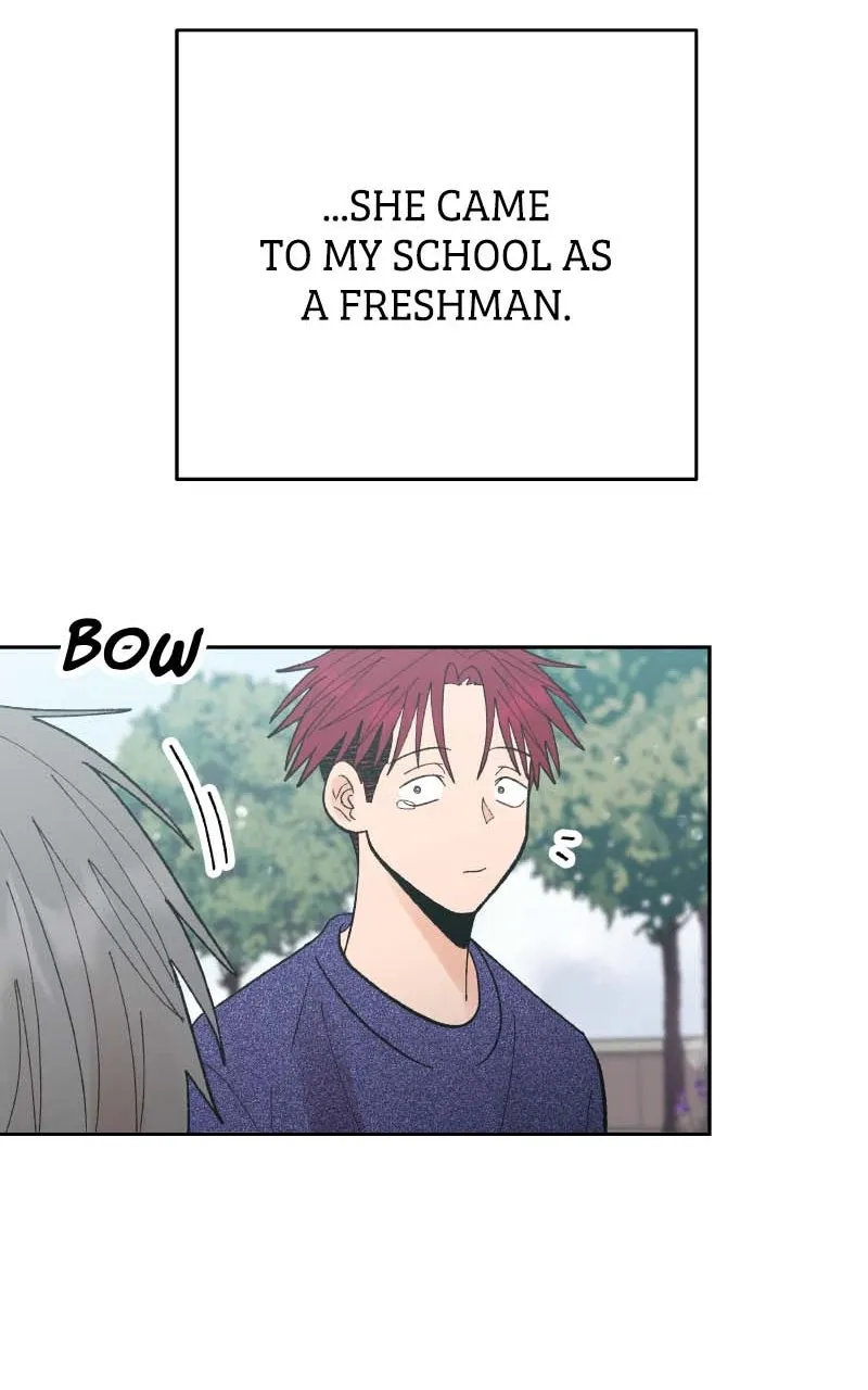Wedding Strategy Chapter 85 page 20 - 