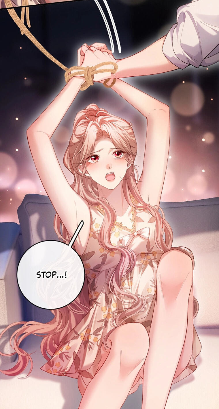 Weizhuang Mingliu Chapter 21 page 28 - 