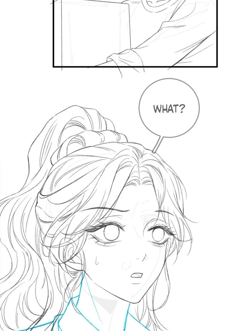 Weizhuang Mingliu Chapter 26 page 73 - 