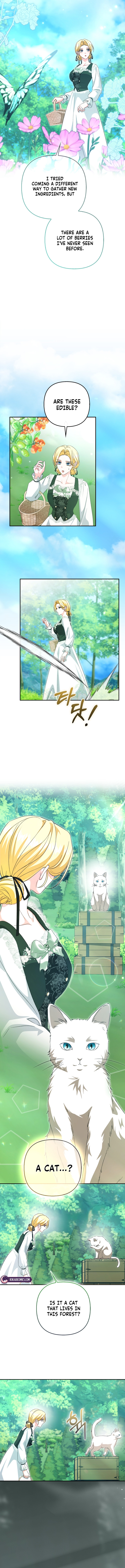 Welcome to the Café of the Dark Guild’s Successor Chapter 23 page 10 - 
