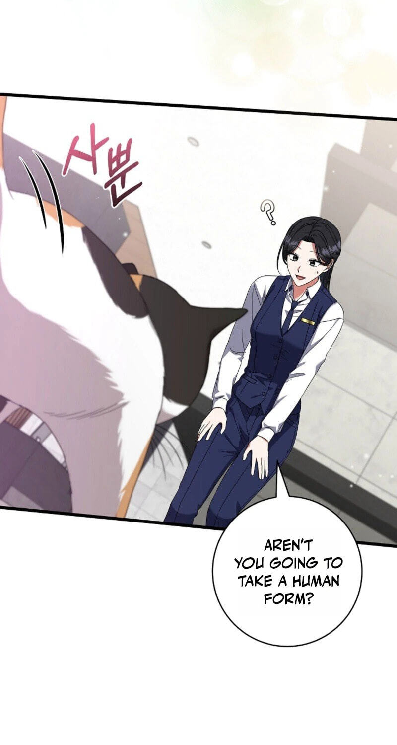 Welcome to the Dungeon Hotel Chapter 97 page 47 - 