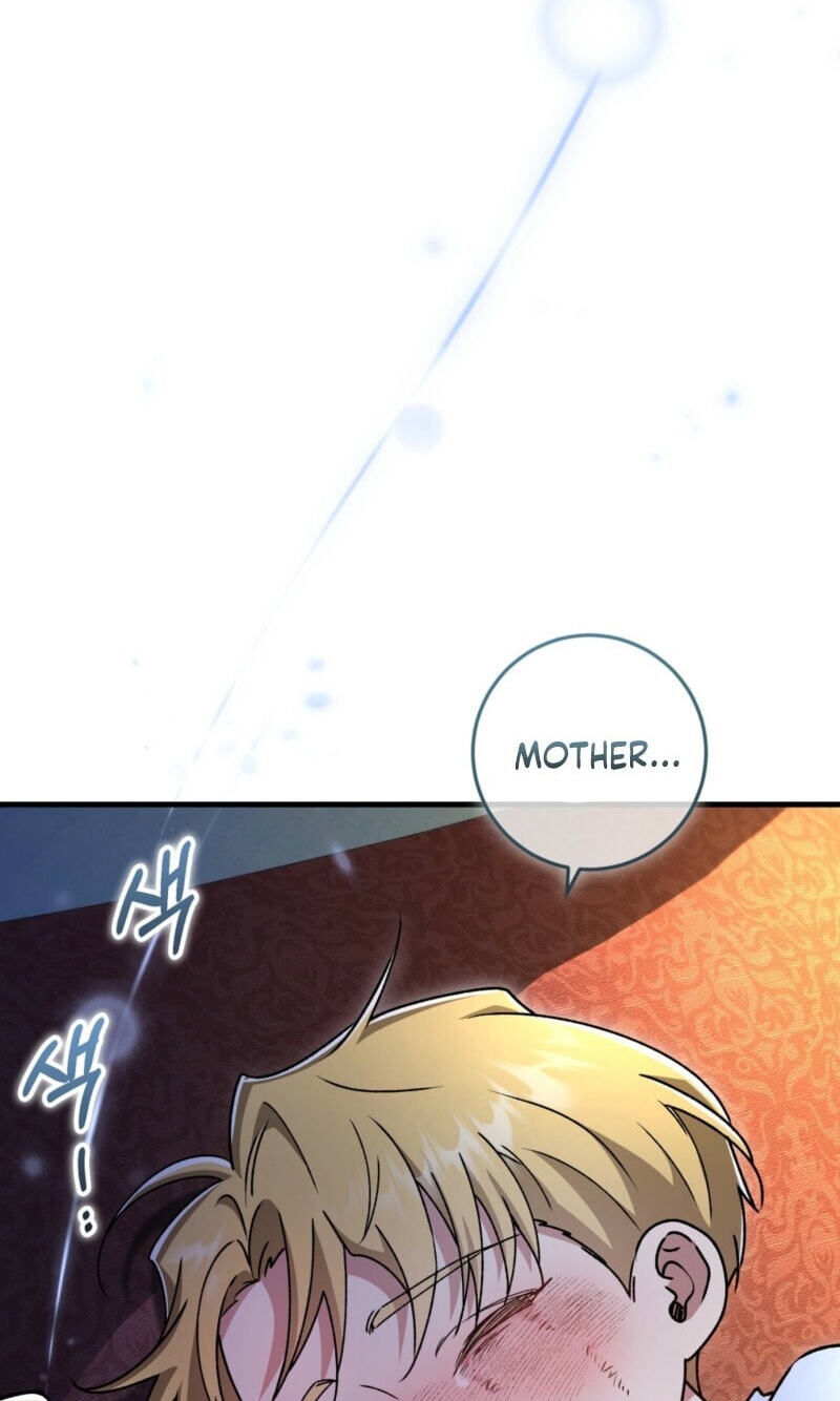 What Happens When the Single Coachman Becomes the Substitute Chapter 38 page 95 - 