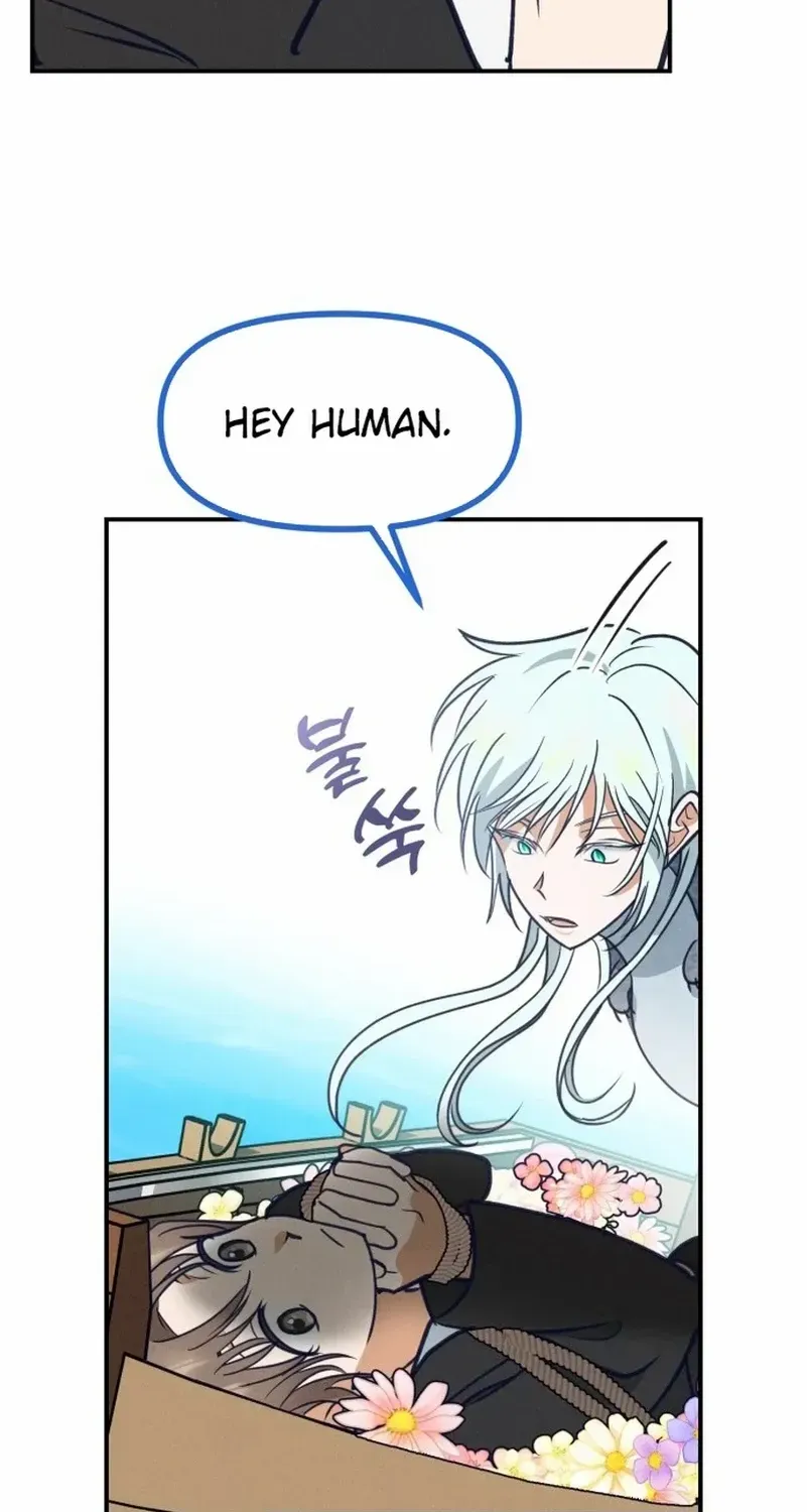What I see, it became a sacrifice! Chapter 1 page 70 - 