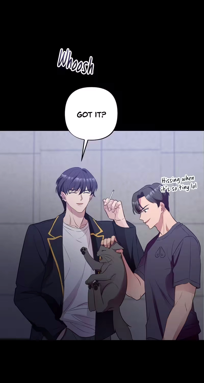 When Homma Targeted You Chapter 36 page 11 - 