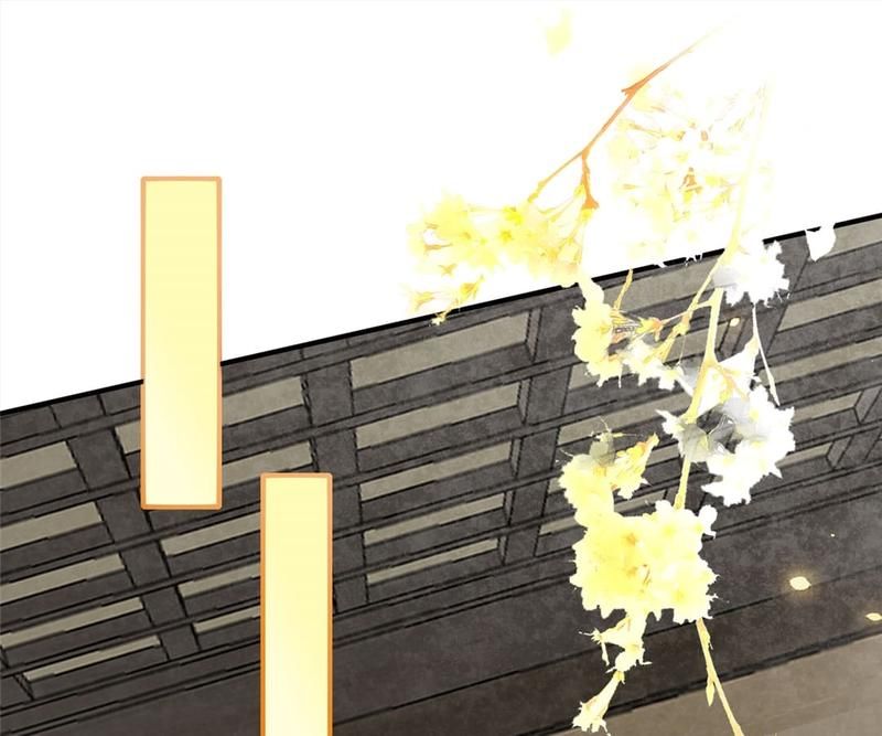 When the Dragon King Falls for the Loli Alchemist Chapter 135 page 1 - 