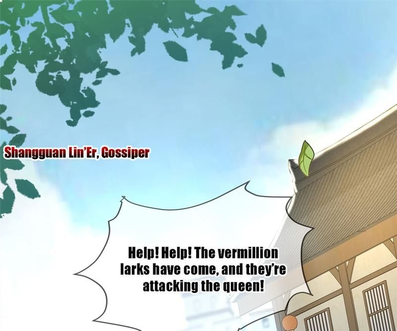 When the Dragon King Falls for the Loli Alchemist Chapter 161 page 1 - 