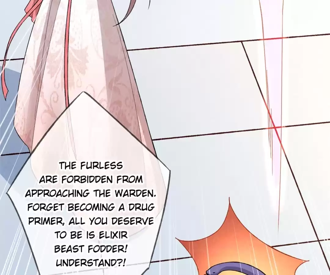 When the Dragon King Falls for the Loli Alchemist Chapter 19 page 51 - 