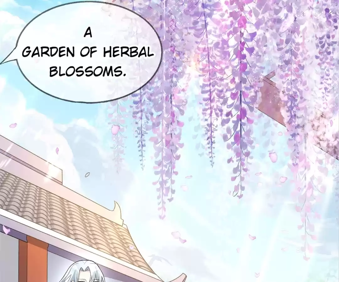 When the Dragon King Falls for the Loli Alchemist Chapter 22 page 5 - 