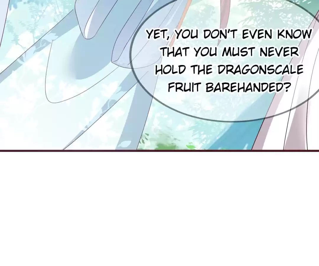 When the Dragon King Falls for the Loli Alchemist Chapter 38 page 47 - 
