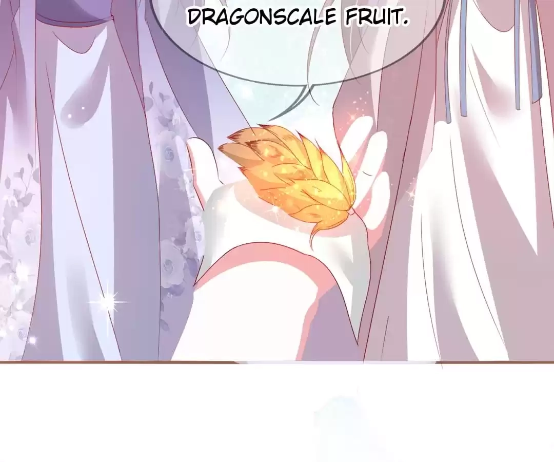 When the Dragon King Falls for the Loli Alchemist Chapter 38 page 53 - 