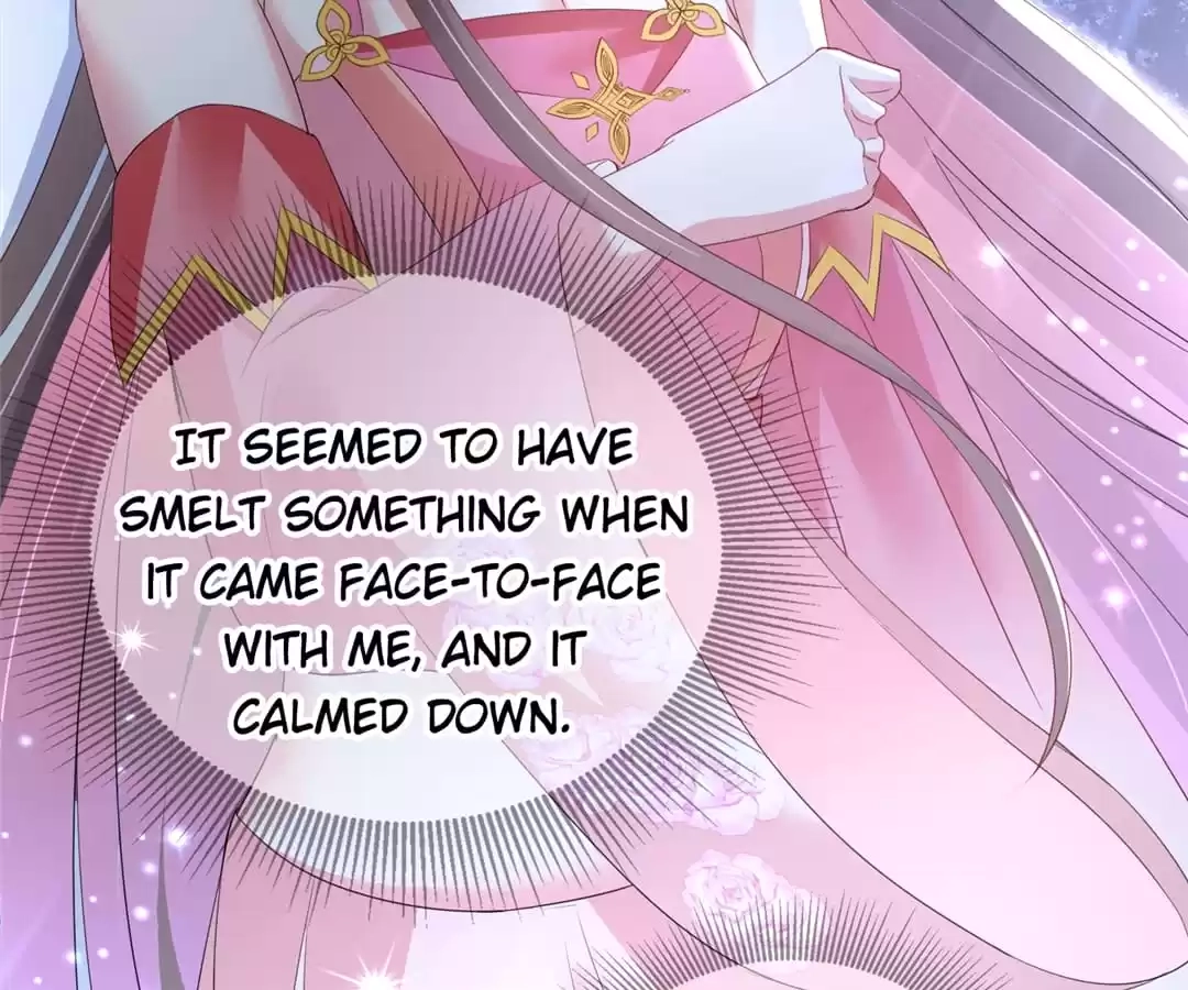 When the Dragon King Falls for the Loli Alchemist Chapter 6 page 97 - 