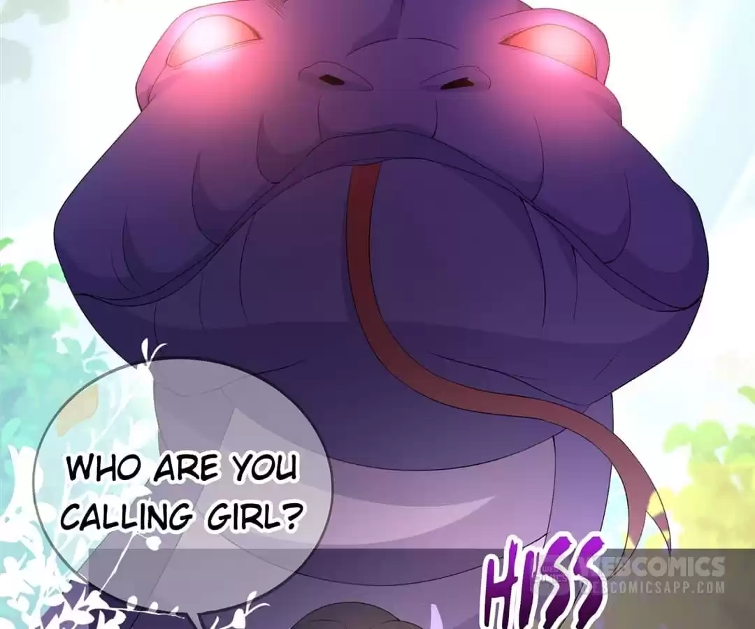 When the Dragon King Falls for the Loli Alchemist Chapter 8 page 64 - 