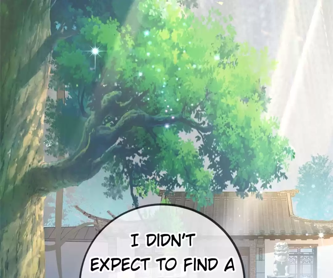 When the Dragon King Falls for the Loli Alchemist Chapter 9 page 14 - 