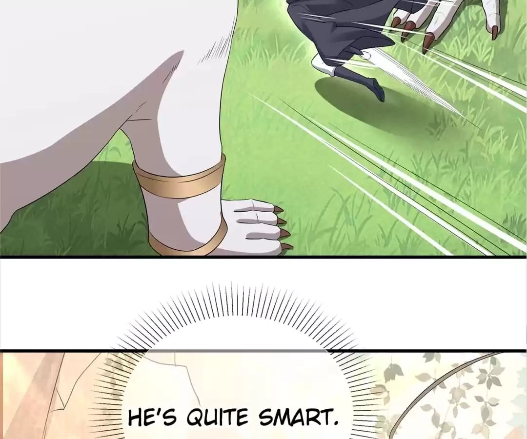 When the Dragon King Falls for the Loli Alchemist Chapter 9 page 66 - 