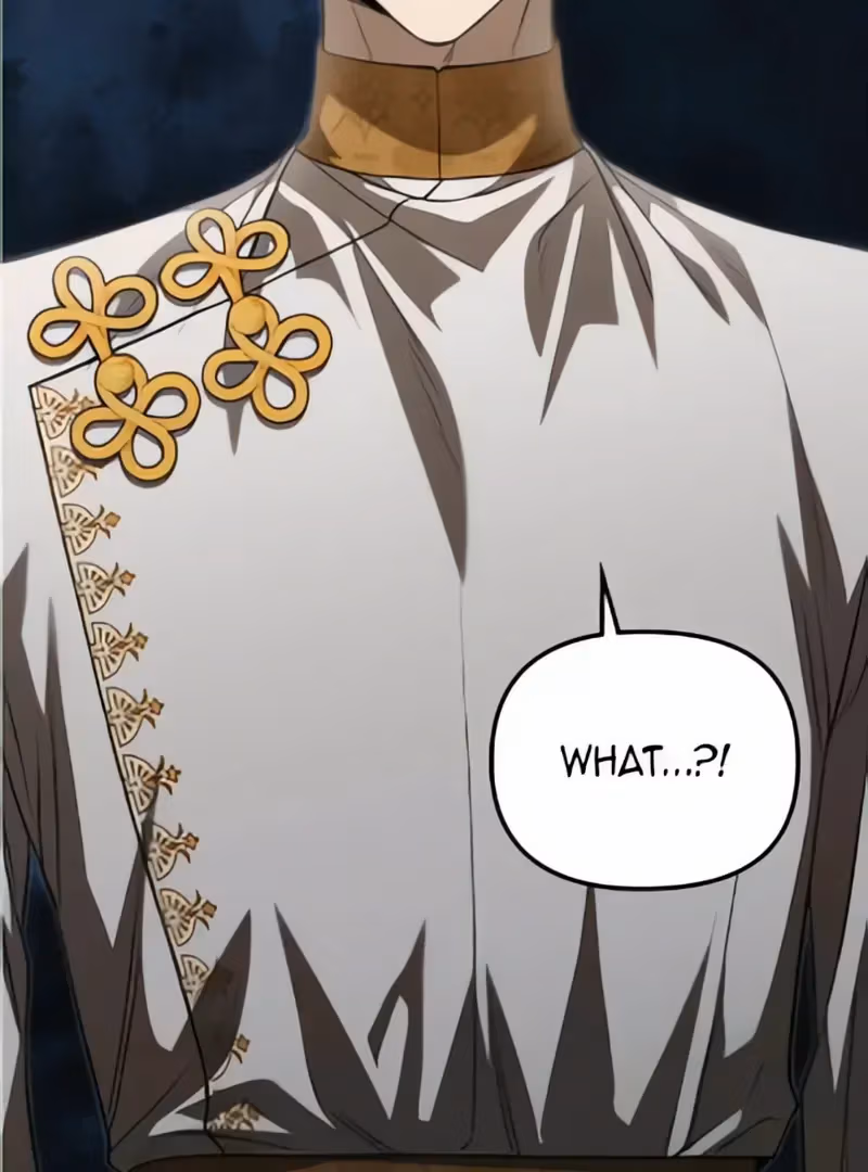 When the Third WheelStrikes Back Chapter 68 page 3 - 