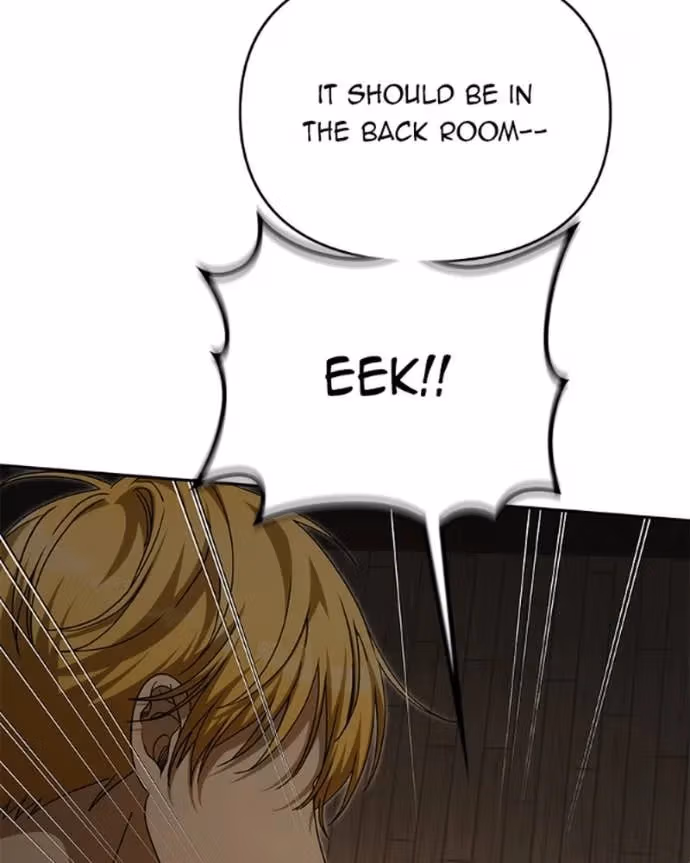 When the Third WheelStrikes Back Chapter 95 page 102 - 