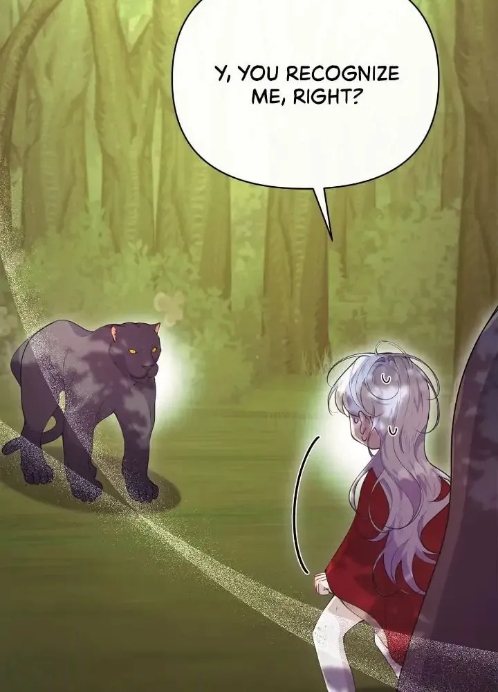 When the Witch’s Daughter Lifts the Male Lead’s Curse Chapter 17 page 71 - 