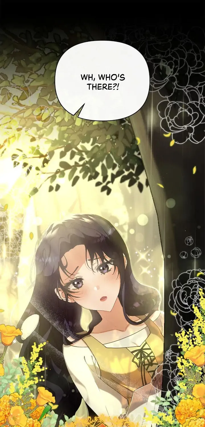 When the Witch’s Daughter Lifts the Male Lead’s Curse Chapter 2 page 36 - 