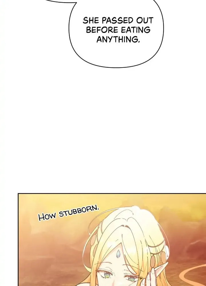 When the Witch’s Daughter Lifts the Male Lead’s Curse Chapter 26 page 25 - 