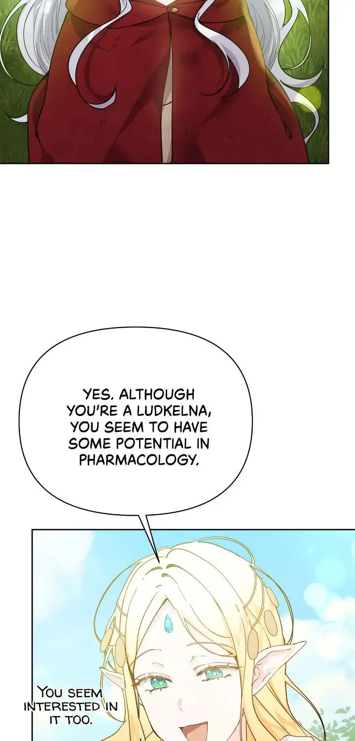 When the Witch’s Daughter Lifts the Male Lead’s Curse Chapter 27 page 4 - 